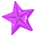 estrella de mar icon