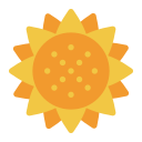 girasol