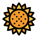 girasol icon