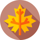 hoja icon