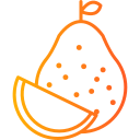 pomelo icon