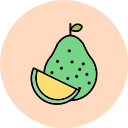 pomelo icon