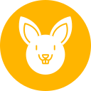 conejo icon