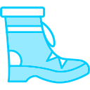 bota icon