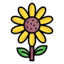 girasol icon