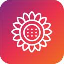 girasol icon