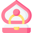 caja del anillo icon