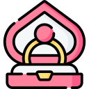 caja del anillo icon