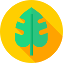 monstera icon