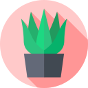 aloe vera icon