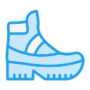 bota icon