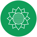 girasol icon