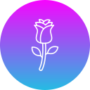 rosa icon