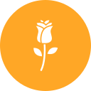 rosa icon