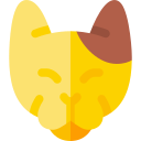 gato icon