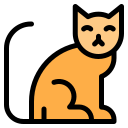 gato icon