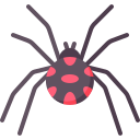 araña