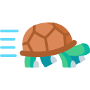 tortuga 