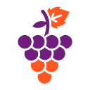 uvas icon