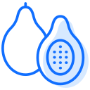 papaya icon