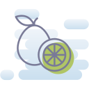 pomelo icon