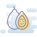 guayaba icon