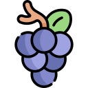 uvas icon