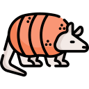 armadillo de nueve bandas icon