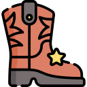 zapato icon