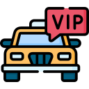 vip icon