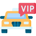 vip icon