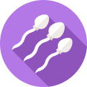 espermatozoide icon