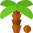 palmera icon