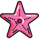 estrella de mar 