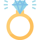 anillo icon