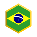 brasil icon