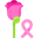 rosa icon