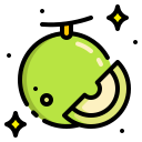 melón icon