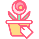 rosa icon