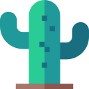 cactus icon