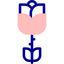 rosa icon