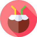 coco icon