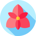 orquídea icon