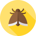 polilla icon