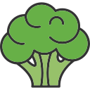 brócoli icon