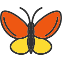 mariposa