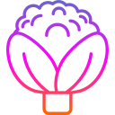 coliflor icon