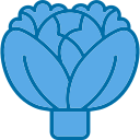 repollo icon