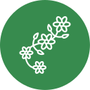 diseño floral icon