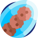 galletas icon